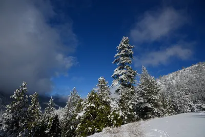 DSC_0787 (Large).JPG